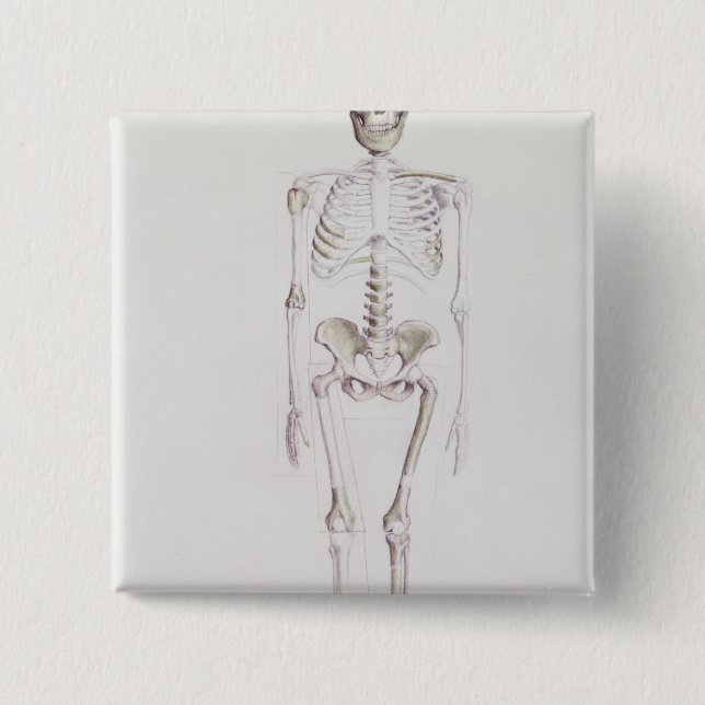 Skeleton of Australopithecus africanus 15 Cm Square Badge (Front)