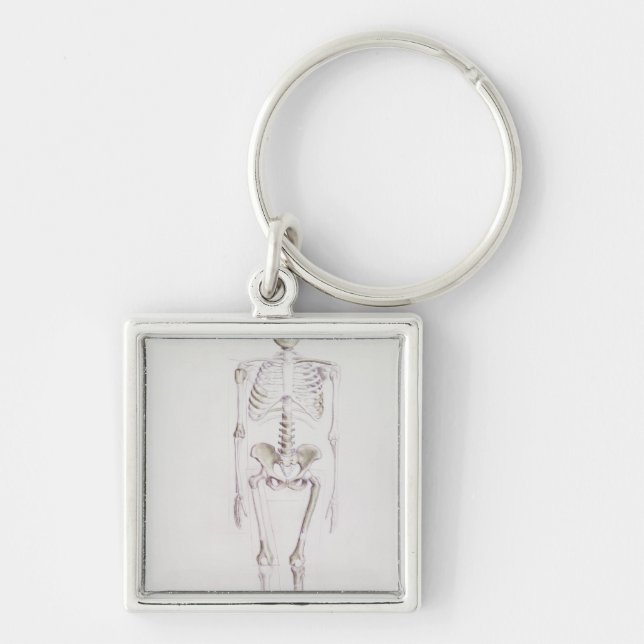Skeleton of Australopithecus africanus Key Ring (Front)