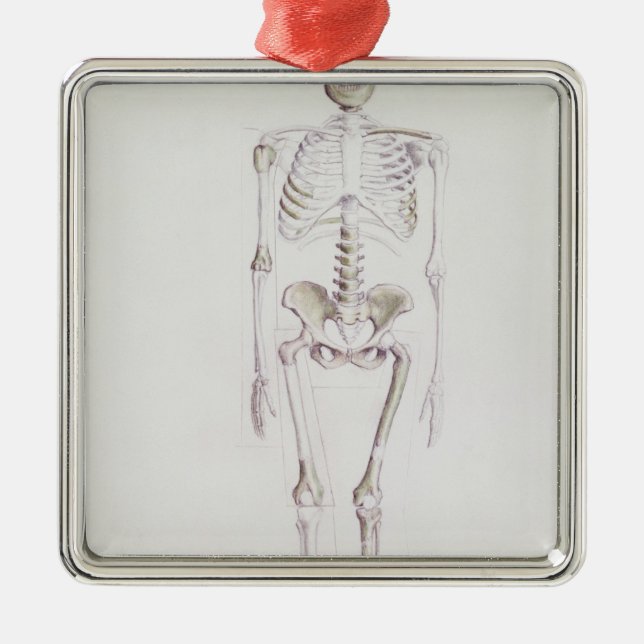Skeleton of Australopithecus africanus Metal Ornament (Front)