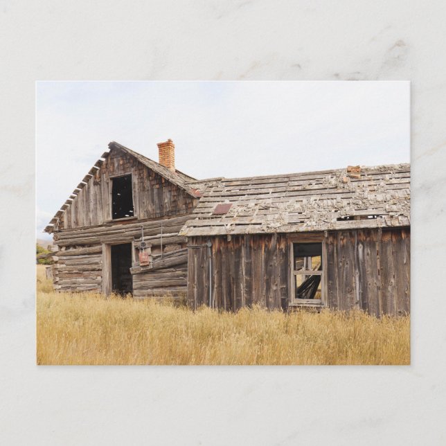 Skeleton of the Past  Postcard (Front)