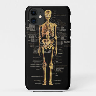 Skeleton phone cover