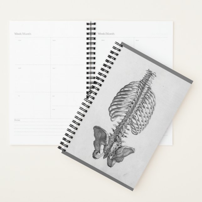 Skeleton planner (Display)