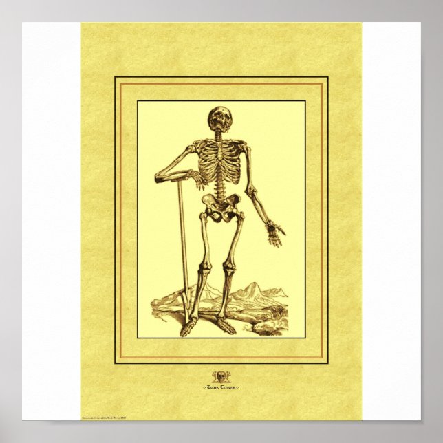 Skeleton Poster (Front)