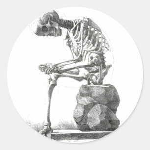 Skeleton Sitting Anatomy Illustraiton Classic Round Sticker