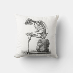 Skeleton Sitting Anatomy Illustraiton Cushion
