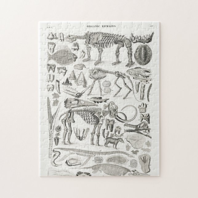 Skeleton Skull Animal Halloween Jigsaw Puzzle (Vertical)