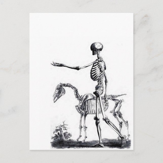 Skeleton skull Halloween Day of the Dead print Postcard (Front)