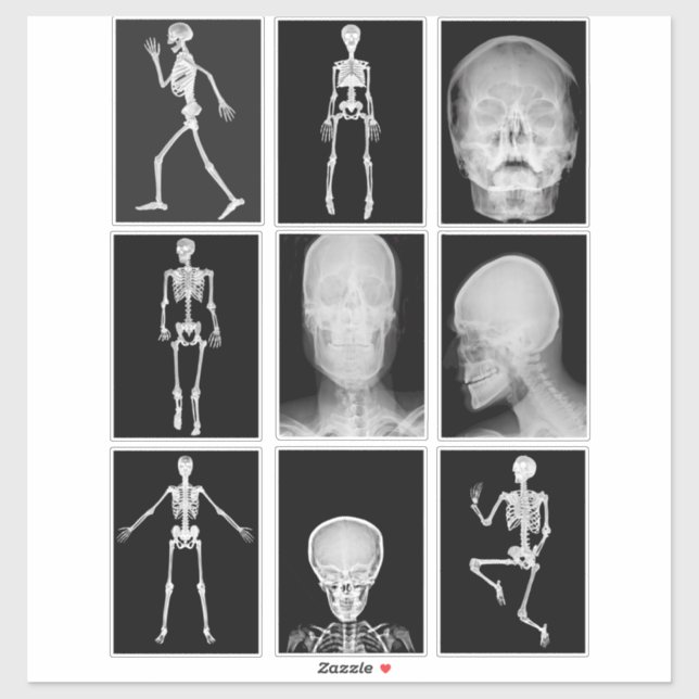 skeleton Skull Human Body XRAYS Collage sheet art  (Sheet)