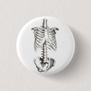 Skeleton Torso Anatomy Spooky button pin
