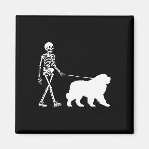 Skeleton Walking A Newfoundland Dog Halloween Outf Magnet