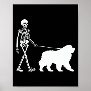 Skeleton Walking A Newfoundland Dog Halloween Outf Poster