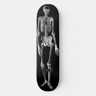 Skelo 001 skateboard