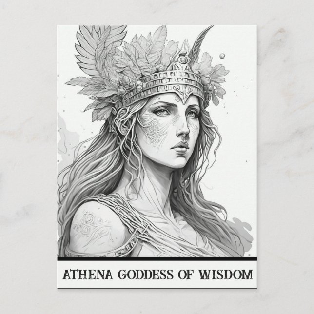 Sketch Art Athena Goddess of Wisdom Postcard (Front)