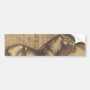 Sketch of a Pony (by Paul-Albert Besnard) Bumper Sticker
