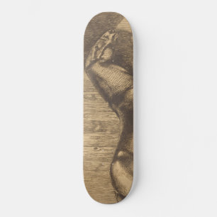 Sketch of a Pony (by Paul-Albert Besnard) Skateboard