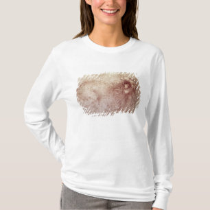 Sketch of a roaring lion (red chalk on paper) T-Shirt
