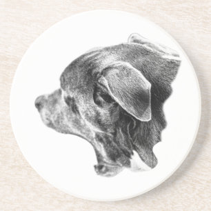 Sketch of a Sleepy Pup Coaster