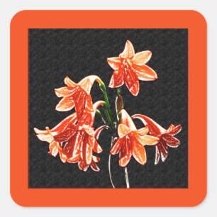 Sketch of Daylilies - Mandarin orange and Rust Square Sticker