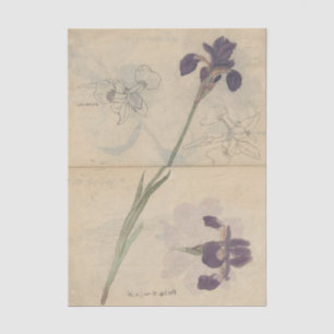 Sketchbook Pl. 085 by Ariyoshi Kondo Tissue Paper