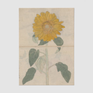 Sketchbook Pl. 103 by Ariyoshi Kondo Tissue Paper