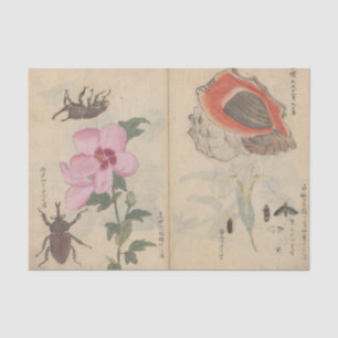 Sketchbook Pl. 108 by Ariyoshi Kondo Tissue Paper