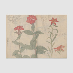 Sketchbook Pl. 111 by Ariyoshi Kondo Tissue Paper