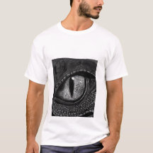 Sketched mystical dragon eye art