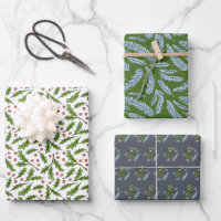 Sketched Winter Branches Holly and Spruce Pattern