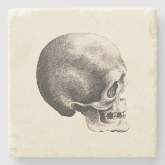 Sketchy Skull Stone Coaster