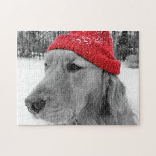 Ski Dog Golden Retriever Jigsaw Puzzle