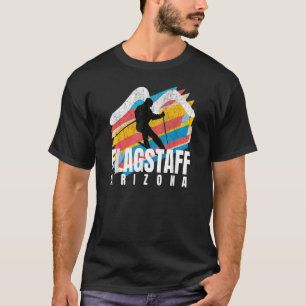 Ski Flagstaff Retro Colourful Geometric Striped Fl T-Shirt