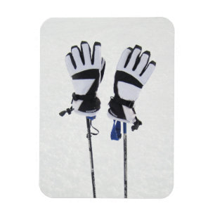 Ski Poles and Gloves Magnet