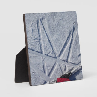 Ski Star Desktop Plaque