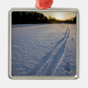 Ski tracks at the Willowbrook Farm Preserve in Metal Tree Decoration