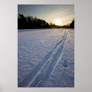 Ski tracks at the Willowbrook Farm Preserve in Poster