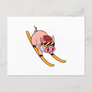 Skier pig postcard