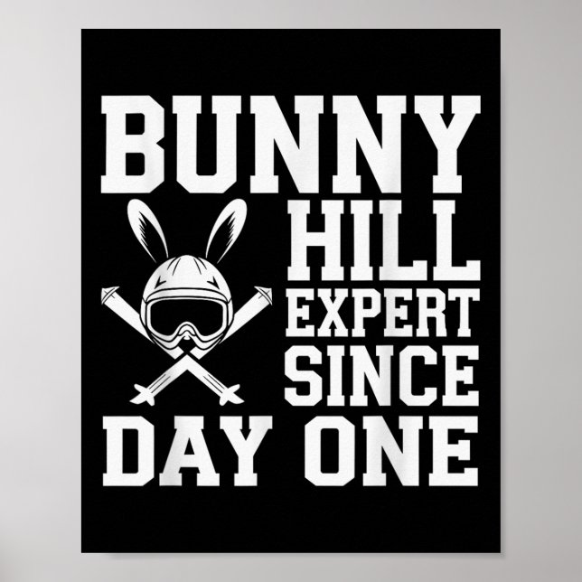 Skiing And Snowboarding Beginner Winter Sports Ent Poster (Front)