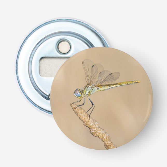 Skimmer Dragonfly Insect Female (CC BY 4.0) Bottle Opener (Front)