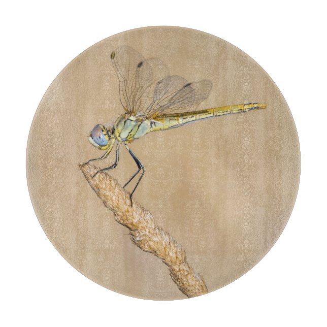 Skimmer Dragonfly Insect Female (CC BY 4.0) Cuttin Cutting Board (Front)