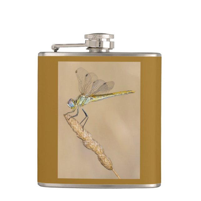 Skimmer Dragonfly Insect Female (CC BY 4.0) Flask (Front)