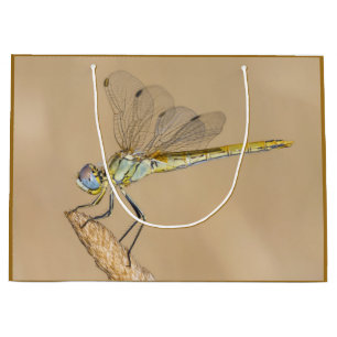 Skimmer Dragonfly Insect Female (CC BY 4.0) Large  Gift Bag