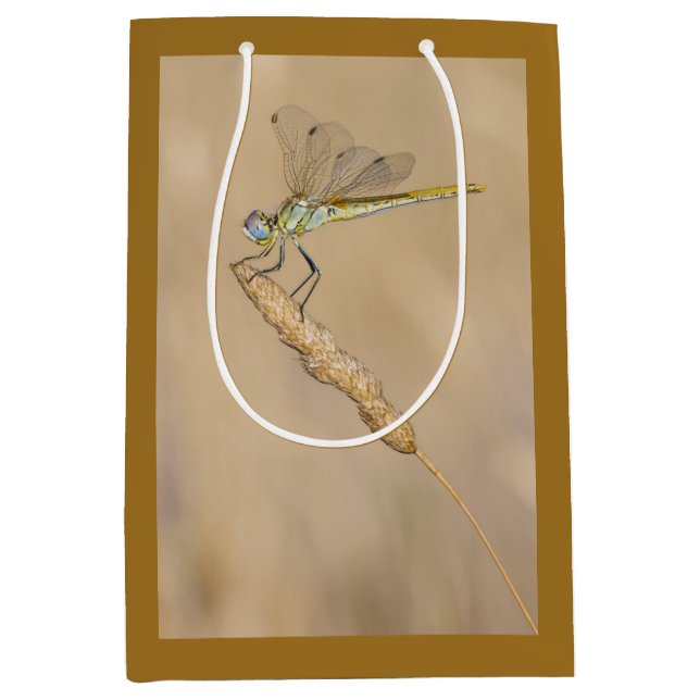 Skimmer Dragonfly Insect Female (CC BY 4.0) Medium Gift Bag (Front)