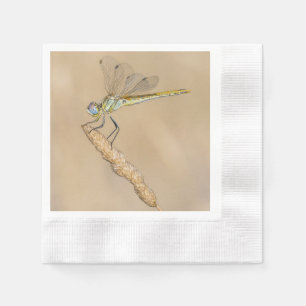 Skimmer Dragonfly Insect Female (CC BY 4.0) Napkin