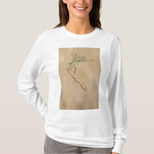Skimmer Dragonfly Insect Female (CC BY 4.0) T-Shirt