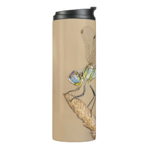 Skimmer Dragonfly Insect Female (CC BY 4.0) Thermal Tumbler