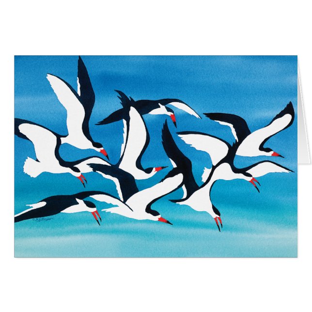 Skimming the Surface (Front Horizontal)