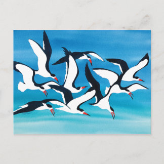 Skimming the Surface Postcard