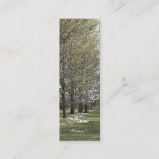 Skinny Business Mini Business Card