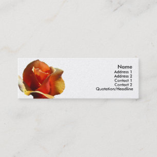 Skinny Card - Orange Rose