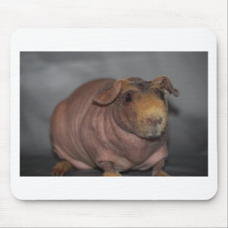 Skinny Pig Mouse Pad